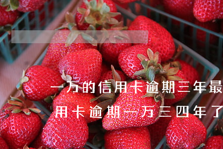 一万的信用卡逾期三年,最多可能还多少钱（信用卡逾期一万三四年了）