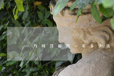 一万网贷逾期一年多少钱