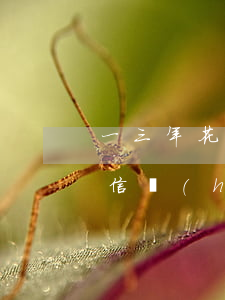 一三年花唄逾期(花唄逾期三年了還了以后征信會(huì)上漲嗎)