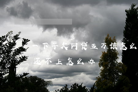 一下子欠网贷五万该怎么办(网贷欠款五万多还不上怎么办?)