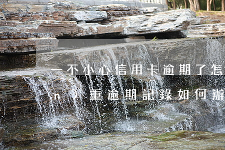 一不小心信用卡逾期了怎么辦-有嚴(yán)重逾期記錄如何辦信用卡