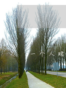 一个人赌博输了还欠了网贷