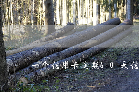 一个信用卡逾期60天(信用卡6千逾期1年)