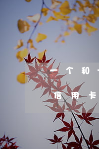 一个和十个信用卡逾期有什么不同-10张信用卡全部逾期
