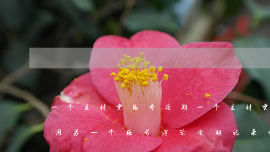 一个支付宝账号逾期(一个支付宝账号逾期能用另一个账号消除逾期记录吗)