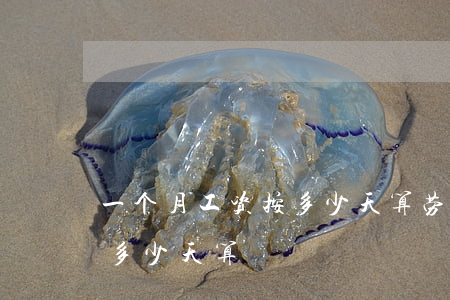 一个月工资按多少天算(劳动法一个月工资按多少天算)