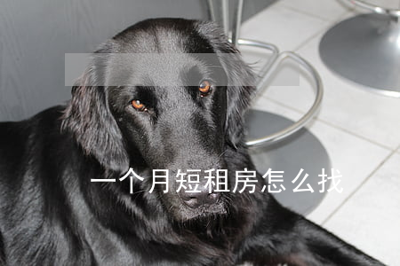 一个月短租房怎么找
