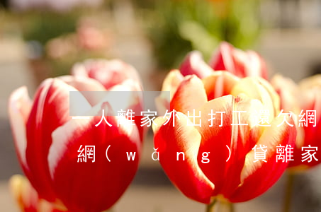 一人離家外出打工還欠網(wǎng)貸(欠網(wǎng)貸離家出走)