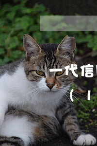 一代信用卡可以透支多少錢(qián)(一類(lèi)卡可以透支多少錢(qián))