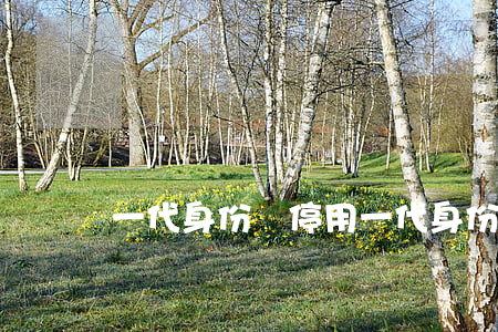 一代身份證停用(一代身份證停用的有效文件)