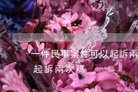 一件民事案件可以起訴兩次(同一件案子可以起訴兩次嗎)