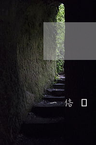 一信貸逾期(一信貸逾期后果)