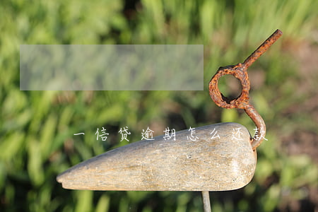 一信贷逾期怎么还款
