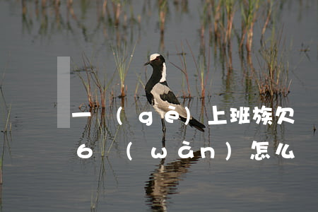 一個(gè)上班族欠網(wǎng)貸16萬(wàn)怎么辦啊-一個(gè)上班族欠網(wǎng)貸16萬(wàn)怎么辦啊視頻