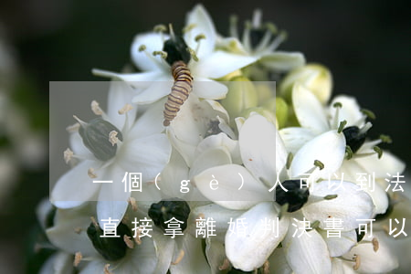 一個(gè)人可以到法院拿離婚判決書嗎(直接拿離婚判決書 可以結(jié)婚)