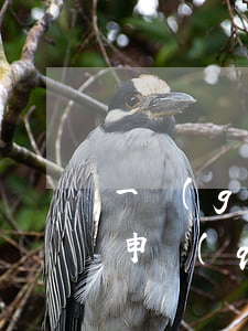 一個(gè)人怎么申請(qǐng)離婚(申請(qǐng)離婚怎么申請(qǐng))