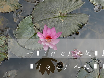 一個(gè)人欠債太多沒能力償還怎么辦(個(gè)人欠債無力償還最好辦法)