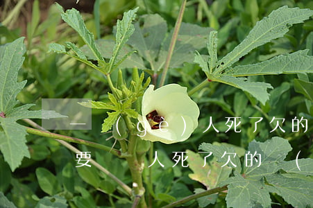 一個(gè)人死了欠的網(wǎng)貸要還嗎(人死了欠的網(wǎng)絡(luò)貸款需要還嗎)