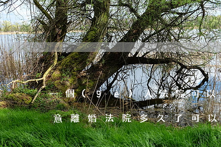 一個(gè)人法院可以判離婚嗎(一方不愿意離婚法院多久了可以自動(dòng)判離婚)