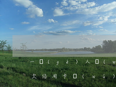 一個(gè)人無(wú)依無(wú)靠欠信用卡無(wú)力償還-一個(gè)人無(wú)依無(wú)靠欠信用卡無(wú)力償還會(huì)怎么樣