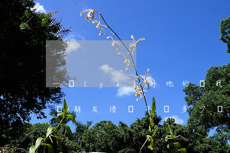 一個(gè)外地的問我借錢不還在哪里起訴(朋友借錢不還,多少錢可以起訴人在外地)