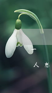 一個(gè)女人趕著離婚(一個(gè)女人想離婚又拖著)