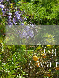 一個(gè)女生網(wǎng)貸欠4萬(wàn)算嚴(yán)重嗎-網(wǎng)貸欠款4萬(wàn)算多嗎