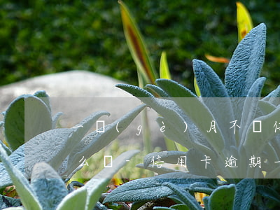 一個(gè)月不還信用卡會(huì)怎么樣-信用卡逾期一個(gè)月補(bǔ)救