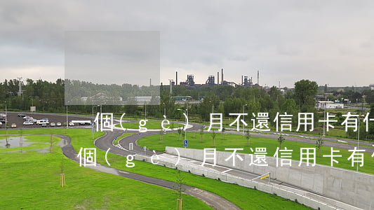 一個(gè)月不還信用卡有什么后果-一個(gè)月不還信用卡有什么后果嗎