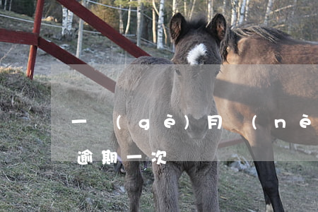 一個(gè)月內(nèi)多次逾期 偶爾逾期一次