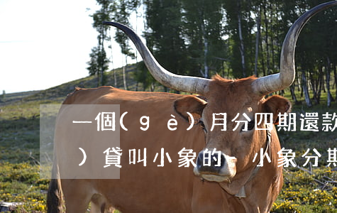 一個(gè)月分四期還款的網(wǎng)貸叫小象的-小象分期利息