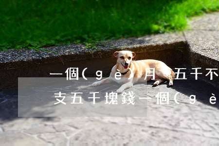 一個(gè)月掙五千不還信用卡(信用卡透支五千塊錢一個(gè)月需要還多少)