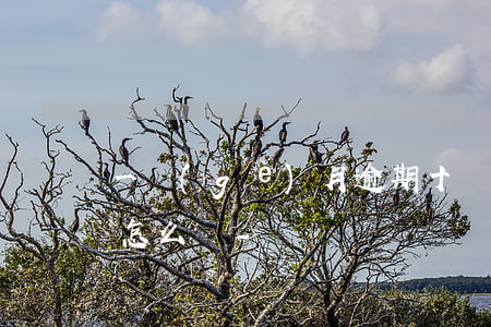 一個(gè)月逾期十幾個(gè)賬單會怎么樣-