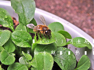 一個(gè)月逾期記錄嗎-一個(gè)月的逾期記錄影響貸款