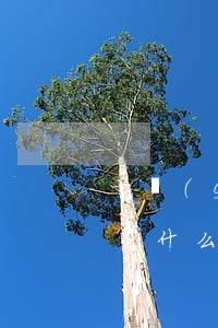 一個(gè)月還款的網(wǎng)貸都有什么影響-一個(gè)月還款的網(wǎng)貸都有什么影響呢