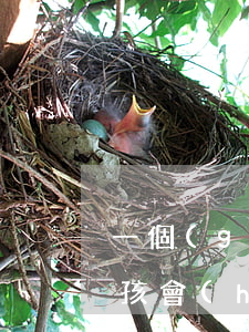 一個(gè)欠很多網(wǎng)貸的女孩會(huì)有前景嗎-欠網(wǎng)貸的女生