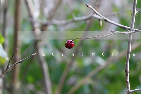 一個(gè)監(jiān)獄有多少犯人