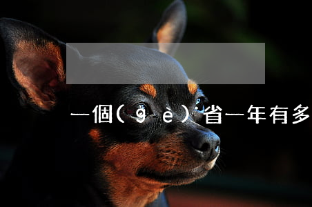 一個(gè)省一年有多少交通事故