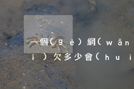 一個(gè)網(wǎng)貸平臺(tái)欠多少會(huì)被起訴(網(wǎng)貸平臺(tái)會(huì)被起訴嗎)