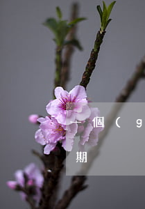 一個(gè)行信用卡逾期(十多張信用卡逾期)