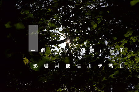 一個(gè)銀行信用卡逾期會(huì)影響其他信用卡嗎(在一個(gè)銀行信用卡逾期會(huì)不會(huì)影響別的信用卡)