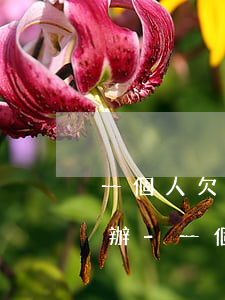 一個人欠兩家網(wǎng)貸逾期了怎么辦-一個人欠兩家網(wǎng)貸逾期了怎么辦呢