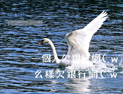 一個人欠銀行網(wǎng)貸還不起會怎么樣(欠銀行網(wǎng)貸的錢還不了是不是只有死)