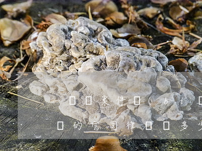 一個億案件標(biāo)的律師費多少(一億的官司律師費多少)