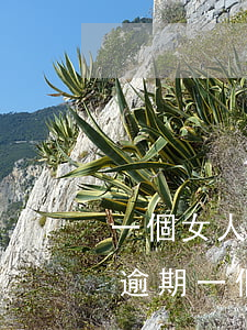 一個女人信用卡逾期一百多萬(信用卡6萬多逾期一個月)