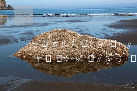 一個女生欠網(wǎng)貸十幾萬(欠了幾十個網(wǎng)貸)