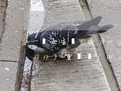 一個女生網(wǎng)貸欠五萬算嚴(yán)重嗎(網(wǎng)貸欠5萬多嗎)