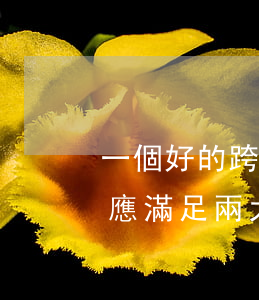 一個好的跨國并購法律模式與結構設計至少應滿足兩大目標