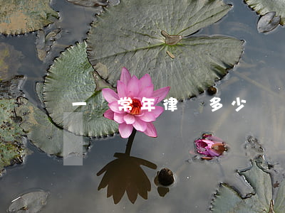 一個常年律師多少錢(請一個知名律師要多少錢)