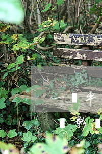一個平臺逾期會影響信用卡嗎(其他平臺逾期會影響信用卡額度嗎)